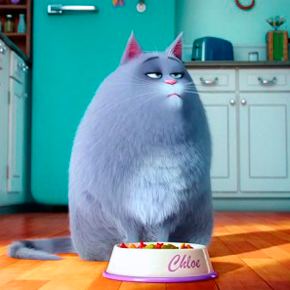 La vida secreta de las mascotas